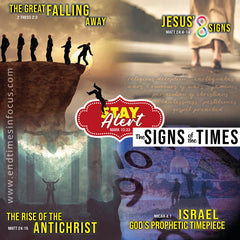 The Rapture of the Church by Phil Davies - used book at Perkology Books