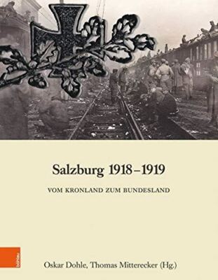 Salzburg 1918-1919: Vom Kronland zum Bundesland (Schriftenreihe D. Forschungsins