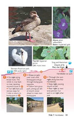 Chilterns Short Walks Made Easy