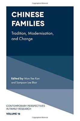 Chinese Families: Tradition, Modernization, and Change: 16 (Contemporary Perspec