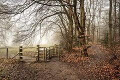 Chilterns Short Walks Made Easy