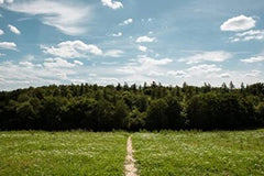 Chilterns Short Walks Made Easy