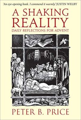 A Shaking Reality: Daily Reflections for Advent [Paperback] Peter Price