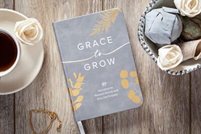 Grace to Grow: Disarm Anxiety, Discover Power, and Dive Into Purpose