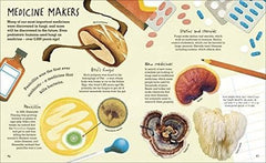 Humongous Fungus (Underground and All Around)
