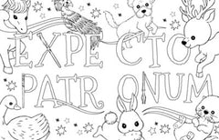 Harry Potter: Magical Art Colouring Book
