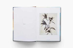 Thomas Ruff: Transforming Photography (Spotlight)
