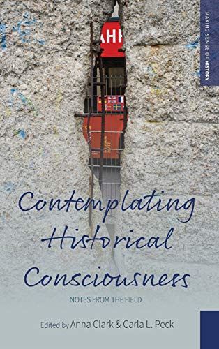 Contemplating Historical Consciousness: Notes from the Field: 36 (Making Sense o - used book at Perkology Books