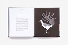 Brave Birds: Inspiration on the Wing [Hardcover] White, Maude by Maude White - used book at Perkology Books