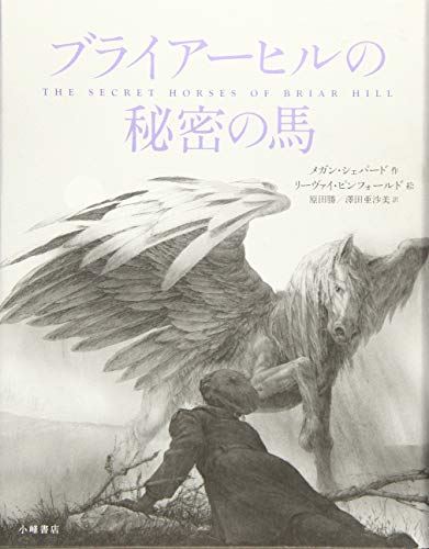 ???????????? (Sunnyside Books) [Tankobon Hardcover] - used book at Perkology Books