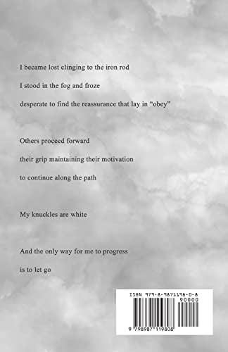 STRAY: a journey in, through, and out of faith by sarah jane pyper - used book at Perkology Books