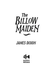 The Billow Maiden by James Dixon - used book at Perkology Books