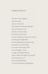 Fierce Elegy: Peter Gizzi by Peter Gizzi - used book at Perkology Books