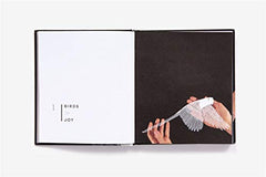 Brave Birds: Inspiration on the Wing [Hardcover] White, Maude by Maude White - used book at Perkology Books