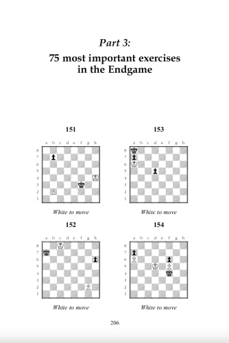 300 Most Important Chess Exercises: Study five a week to be a better chessplayer by Thomas Engqvist - used book at Perkology Books