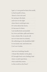 Fierce Elegy: Peter Gizzi by Peter Gizzi - used book at Perkology Books