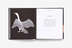 Brave Birds: Inspiration on the Wing [Hardcover] White, Maude by Maude White - used book at Perkology Books