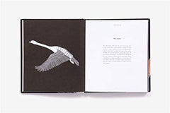 Brave Birds: Inspiration on the Wing [Hardcover] White, Maude by Maude White - used book at Perkology Books