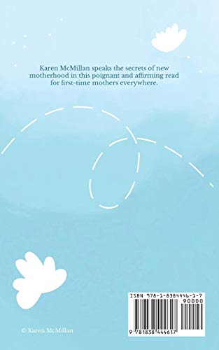 Lessons: Reflections on Early Motherhood by Karen McMillan - used book at Perkology Books