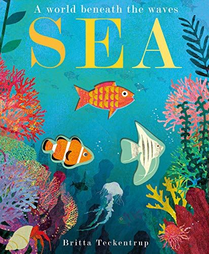 Sea: A World Beneath the Waves [Hardcover] Hegarty, Patricia and Teckentrup, Bri - used book at Perkology Books