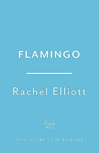 Flamingo by Rachel Elliott - used book at Perkology Books