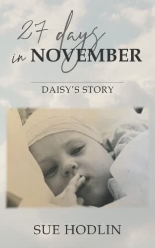 27 Days in November: Daisy’s Story by Sue Hodlin - used book at Perkology Books
