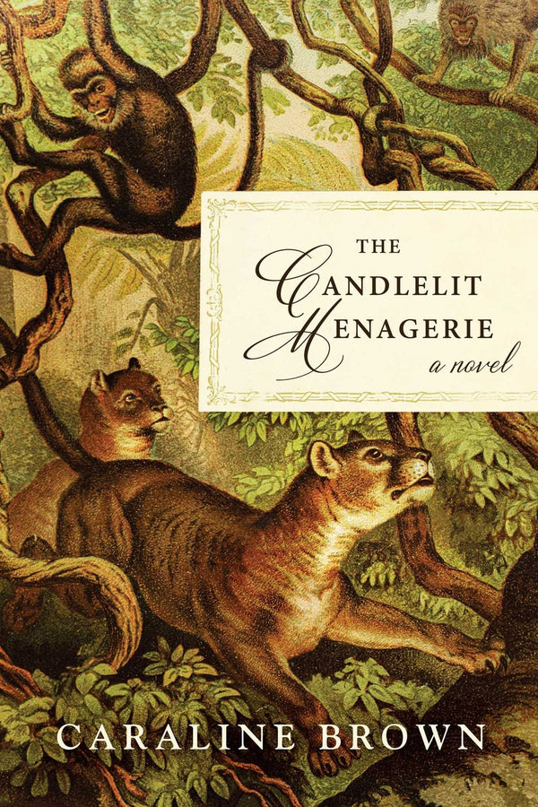 The Candlelit Menagerie: A Novel by Caraline Brown - used book at Perkology Books