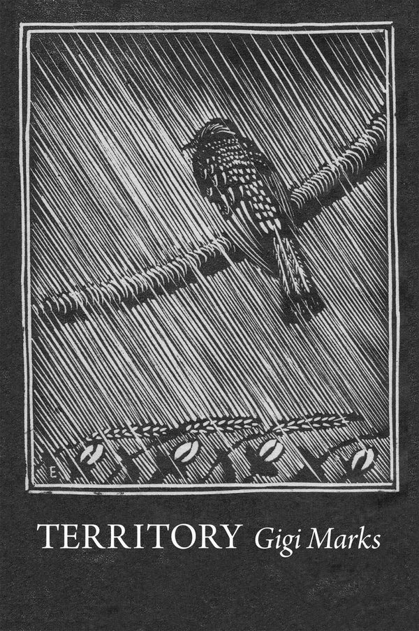 Territory [Paperback] Marks, Gigi by Gigi Marks - used book at Perkology Books