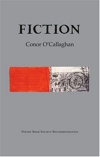 Fiction by Conor O'Callaghan by Conor O'Callaghan - used book at Perkology Books