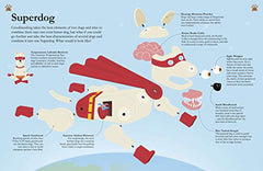 How Dogs Work: A Head-to-Tail Guide to Your Canine by Daniel Tatarsky - used book at Perkology Books