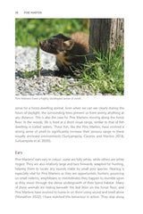 Pine Marten: The Secret Life of Martes martes (Pelagic Monographs) by Dan Bagur - used book at Perkology Books