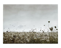 Passing Through [Hardcover] Nigel Grierson by Nigel Grierson - used book at Perkology Books