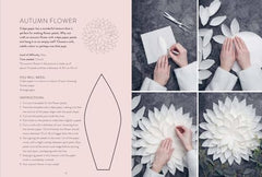 Stars & Snowflakes: Simple, sustainable papercrafts for the festive season by Cecilia Möller Kirchsteiger - used book at Perkology Books