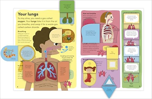 You and Your Body: A First Look Inside the Human Body by Punam Krishan - used book at Perkology Books