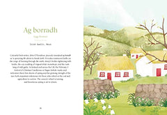 Wild Words by Kate Hodges - used book at Perkology Books