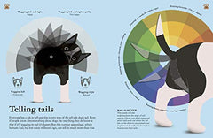 How Dogs Work: A Head-to-Tail Guide to Your Canine by Daniel Tatarsky - used book at Perkology Books