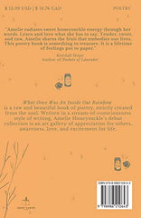 What Once Was An Inside Out Rainbow by Amelie Honeysuckle - used book at Perkology Books