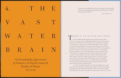 Forbidden Territories: 100 Years of Surreal Landscape by Eleanor Clayton - used book at Perkology Books