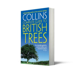 British Trees: A photographic guide to every common species by Paul Sterry - used book at Perkology Books