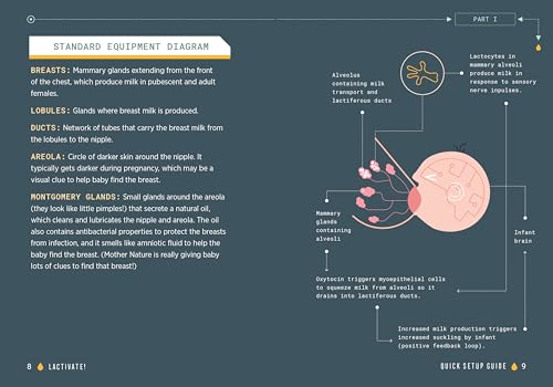 Lactivate!: A Judgment-Free Guide to Breastfeeding by Jill Krause - used book at Perkology Books