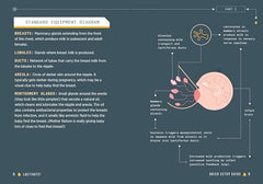 Lactivate!: A Judgment-Free Guide to Breastfeeding by Jill Krause - used book at Perkology Books