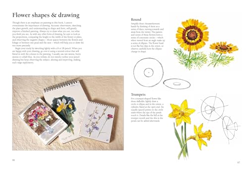 Acrylic Painting Step-by-Step: 22 Easy Modern Designs by Wendy Jelbert - used book at Perkology Books