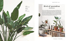The Leaf Supply Guide to Creating Your Indoor Jungle by Lauren Camilleri - used book at Perkology Books
