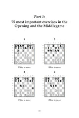300 Most Important Chess Exercises: Study five a week to be a better chessplayer by Thomas Engqvist - used book at Perkology Books