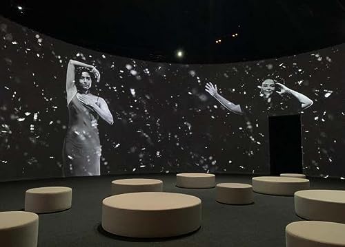 Carrie Mae Weems: Reflections for now by Florence Ostende - used book at Perkology Books