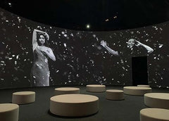 Carrie Mae Weems: Reflections for now by Florence Ostende - used book at Perkology Books