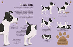 How Dogs Work: A Head-to-Tail Guide to Your Canine by Daniel Tatarsky - used book at Perkology Books