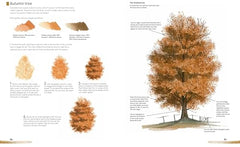 Watercolour Landscapes for the Absolute Beginner (Absolute Beginner Art) by Matthew Palmer - used book at Perkology Books