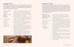 The Grizzly Forager’s Guide to Family Foraging: Embrace Nature, Find Food by John Shahabeddin - used book at Perkology Books