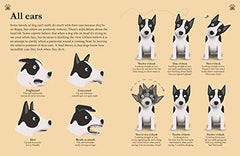 How Dogs Work: A Head-to-Tail Guide to Your Canine by Daniel Tatarsky - used book at Perkology Books